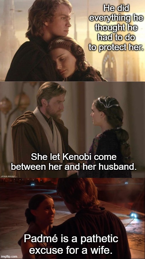 Anakin was too good for Padmé | He did everything he thought he had to do to protect her. She let Kenobi come between her and her husband. Padmé is a pathetic excuse for a wife. | image tagged in star wars,anakin | made w/ Imgflip meme maker