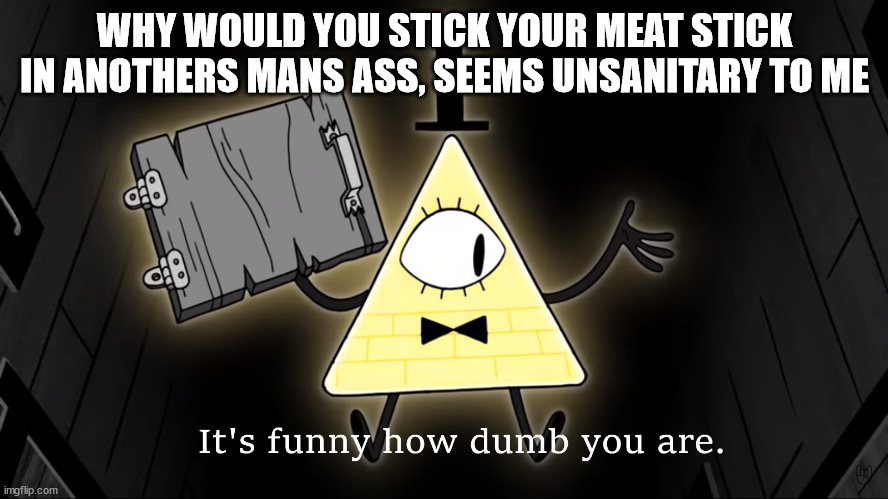 i dont get it | WHY WOULD YOU STICK YOUR MEAT STICK IN ANOTHERS MANS ASS, SEEMS UNSANITARY TO ME | image tagged in it's funny how dumb you are bill cipher | made w/ Imgflip meme maker
