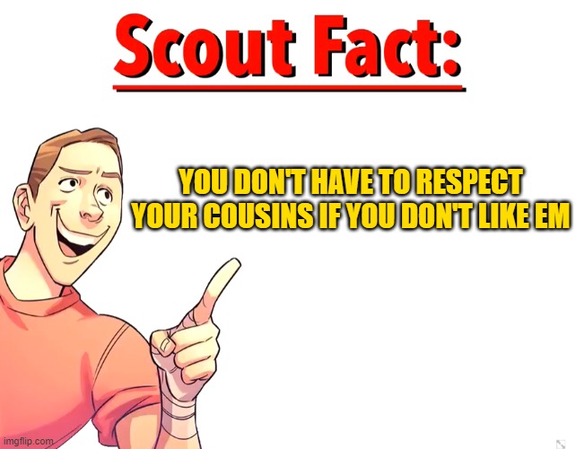 Scout Fact | YOU DON'T HAVE TO RESPECT YOUR COUSINS IF YOU DON'T LIKE EM | image tagged in scout fact | made w/ Imgflip meme maker