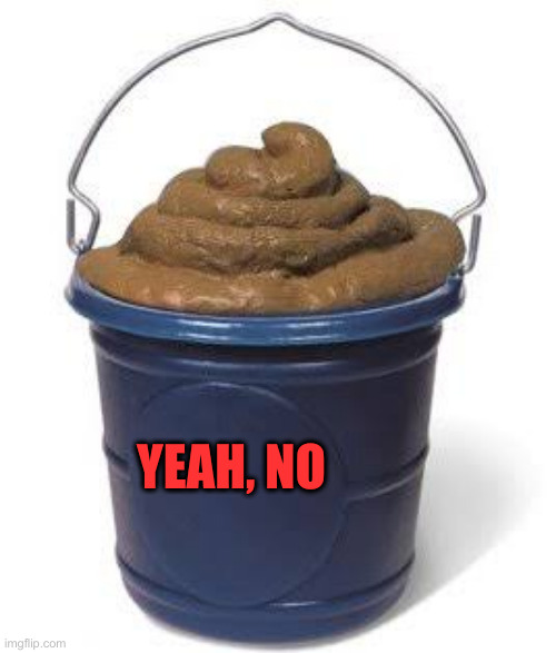 Bucket of shit | YEAH, NO | image tagged in bucket of shit | made w/ Imgflip meme maker
