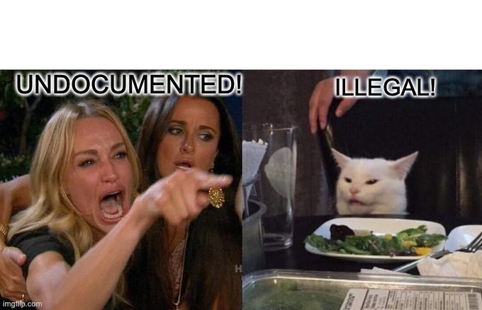 Call 'em like you see 'em | UNDOCUMENTED! ILLEGAL! | image tagged in memes,woman yelling at cat | made w/ Imgflip meme maker