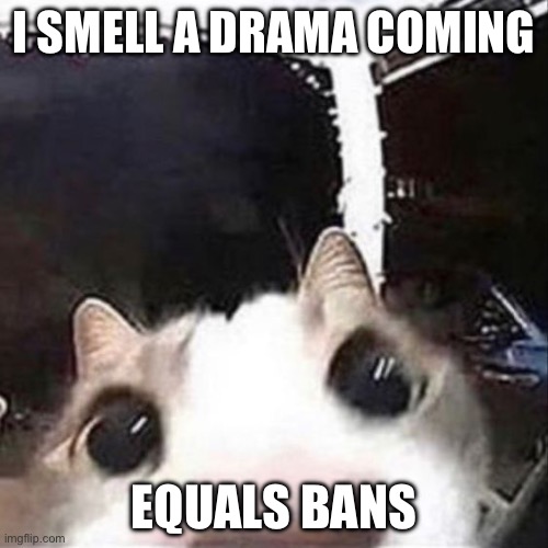 Womp womp | I SMELL A DRAMA COMING; EQUALS BANS | image tagged in cat sniff | made w/ Imgflip meme maker