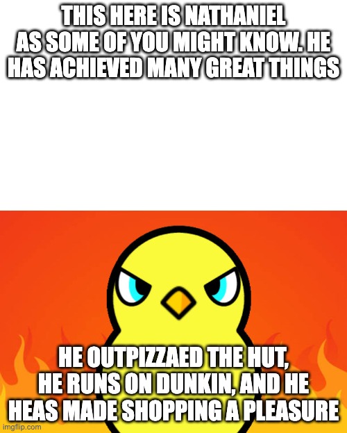 Duck Life Duck Hates | THIS HERE IS NATHANIEL AS SOME OF YOU MIGHT KNOW. HE HAS ACHIEVED MANY GREAT THINGS; HE OUTPIZZAED THE HUT, HE RUNS ON DUNKIN, AND HE HEAS MADE SHOPPING A PLEASURE | image tagged in duck life duck hates | made w/ Imgflip meme maker