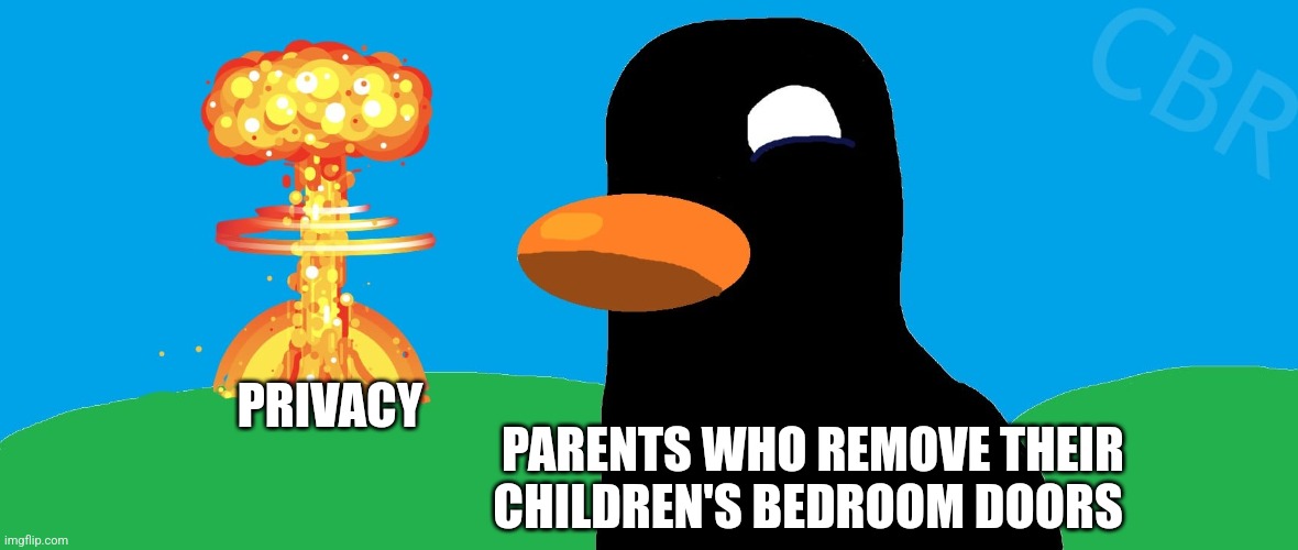 Who needs a bedroom door??? | PRIVACY; PARENTS WHO REMOVE THEIR CHILDREN'S BEDROOM DOORS | image tagged in kurzgesagt apocalypse,jpfan102504,parents,relatable | made w/ Imgflip meme maker