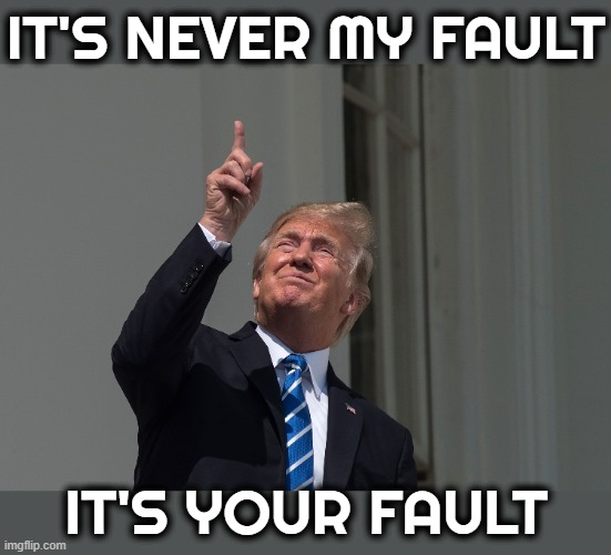 IT'S NEVER MY FAULT | IT'S NEVER MY FAULT; IT'S YOUR FAULT | image tagged in fault,blame,condem,accuse,rebuke,curse | made w/ Imgflip meme maker