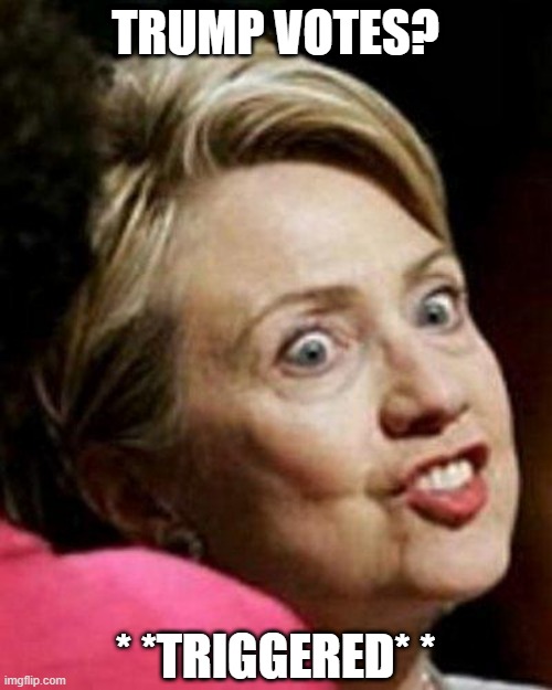 Hillary Clinton Fish | TRUMP VOTES? * *TRIGGERED* * | image tagged in hillary clinton fish | made w/ Imgflip meme maker