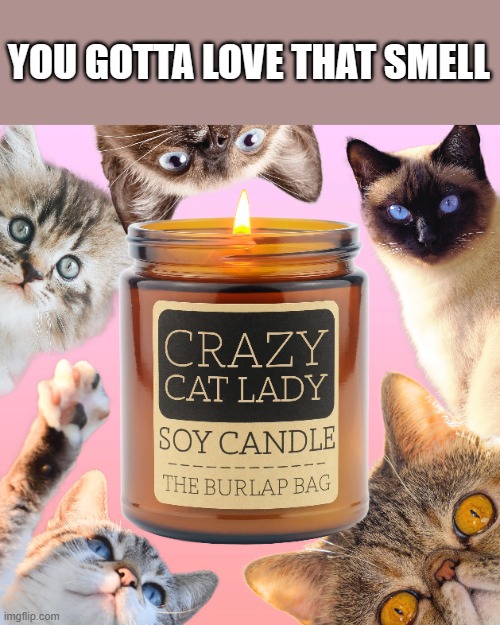 meme by Brad crazy cat lady candle humor | YOU GOTTA LOVE THAT SMELL | image tagged in cats,funny,candles,crazy cat lady,funny meme,humor | made w/ Imgflip meme maker