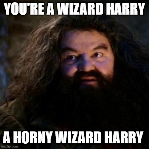 YOU'RE A WIZARD HARRY A HORNY WIZARD HARRY | image tagged in you're a wizard harry | made w/ Imgflip meme maker