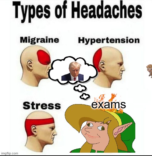Types of Headaches meme | exams | image tagged in types of headaches meme | made w/ Imgflip meme maker