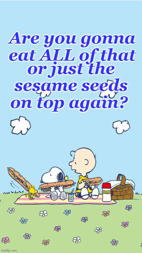 Lunch | or just the sesame seeds on top again? Are you gonna eat ALL of that | image tagged in lunch time,charlie brown,snoopy,woodstock,sub sandwich | made w/ Imgflip meme maker