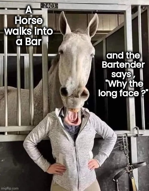 Saddle up , Buckaroos | A Horse walks into a Bar; and the Bartender says ,
 "Why the long face ?" | image tagged in puns,horses,don't drink and drive,am i a joke to you,ride on | made w/ Imgflip meme maker