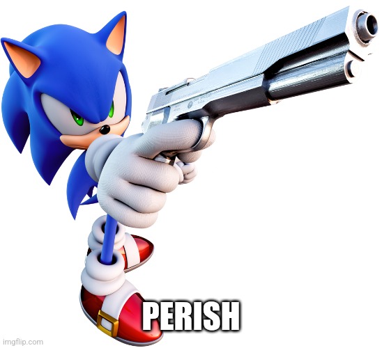 Sonic with a gun | PERISH | image tagged in sonic with a gun | made w/ Imgflip meme maker