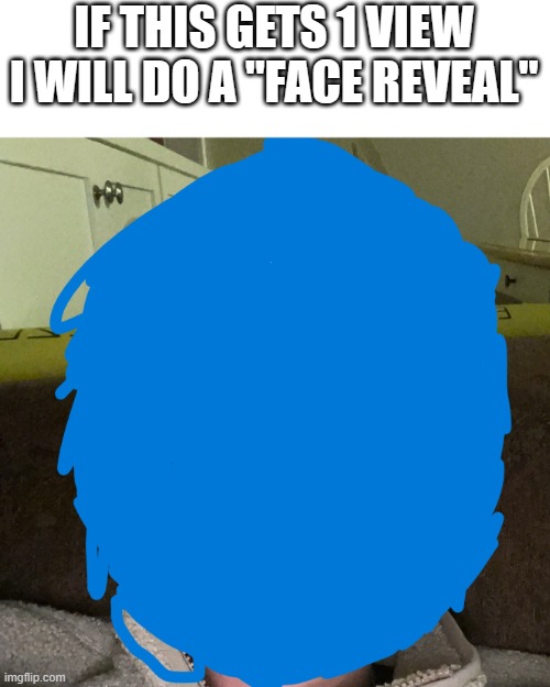 If this gets 1 view, I will do a face reveal | IF THIS GETS 1 VIEW I WILL DO A "FACE REVEAL" | image tagged in face,face reveal,blue,wait what | made w/ Imgflip meme maker
