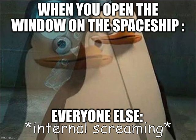 Private Internal Screaming | WHEN YOU OPEN THE WINDOW ON THE SPACESHIP : EVERYONE ELSE: | image tagged in private internal screaming | made w/ Imgflip meme maker