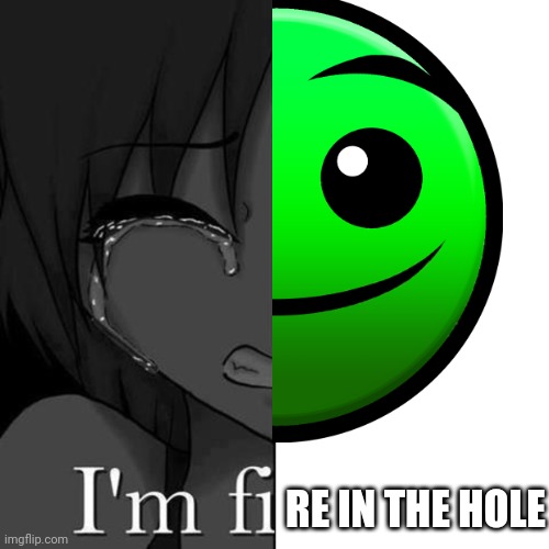 I'm fi | RE IN THE HOLE | image tagged in i'm fi | made w/ Imgflip meme maker