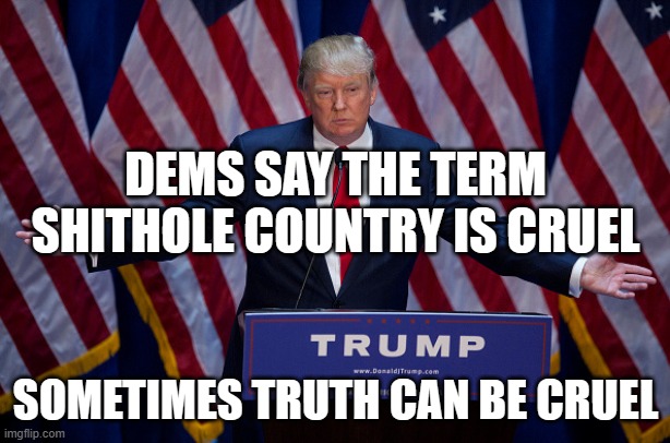 Donald Trump | DEMS SAY THE TERM SHITHOLE COUNTRY IS CRUEL; SOMETIMES TRUTH CAN BE CRUEL | image tagged in donald trump | made w/ Imgflip meme maker