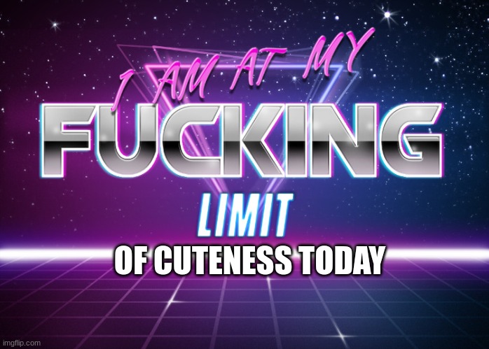 I AM AT MY F**KING LIMIT | OF CUTENESS TODAY | image tagged in i am at my f king limit | made w/ Imgflip meme maker