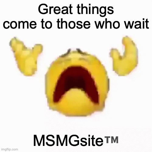 :nooo: | Great things come to those who wait; MSMGsite™️ | image tagged in nooo | made w/ Imgflip meme maker