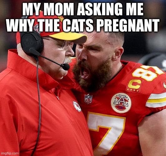 That one mf | MY MOM ASKING ME WHY THE CATS PREGNANT | image tagged in travis kelce screaming | made w/ Imgflip meme maker