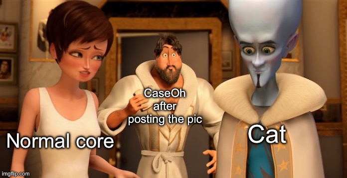 CaseOh Megamind Slander 2 | CaseOh after posting the pic; Cat; Normal core | image tagged in metro man panic | made w/ Imgflip meme maker