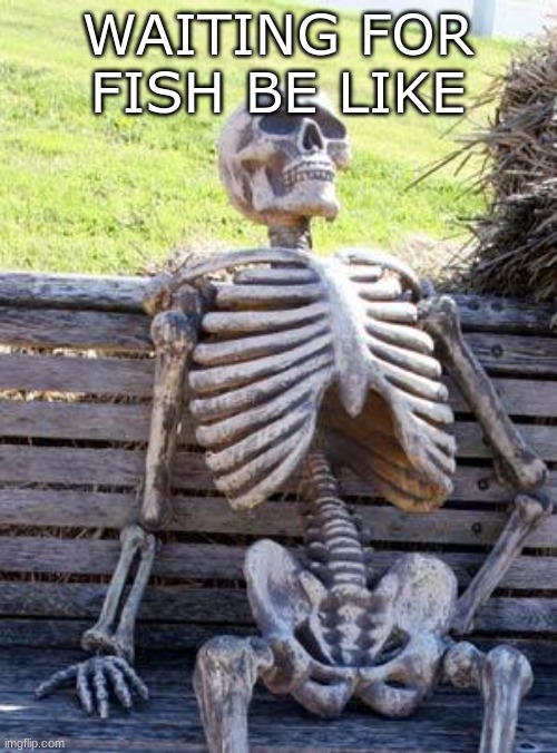 Waiting Skeleton Meme | WAITING FOR FISH BE LIKE | image tagged in memes,waiting skeleton | made w/ Imgflip meme maker