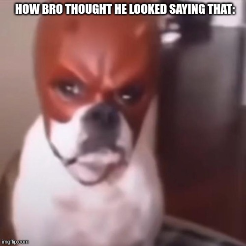 Dog with daredevil mask | HOW BRO THOUGHT HE LOOKED SAYING THAT: | image tagged in dog with daredevil mask | made w/ Imgflip meme maker