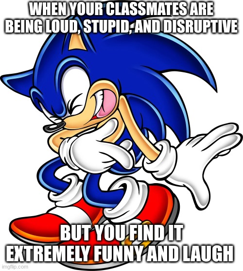 based on a true story | WHEN YOUR CLASSMATES ARE BEING LOUD, STUPID, AND DISRUPTIVE; BUT YOU FIND IT EXTREMELY FUNNY AND LAUGH | image tagged in sonic the hedgehog,sonic,sonic meme | made w/ Imgflip meme maker