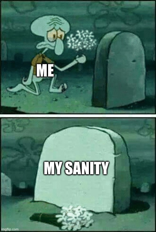 RIP SQUIDWARD | ME; MY SANITY | image tagged in rip squidward,insanity | made w/ Imgflip meme maker
