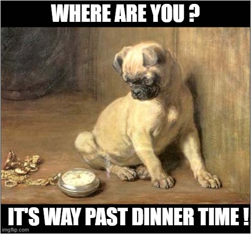 Stomach Growling Noises ! | WHERE ARE YOU ? IT'S WAY PAST DINNER TIME ! | image tagged in dogs,hungry dog,watch,dinner time | made w/ Imgflip meme maker