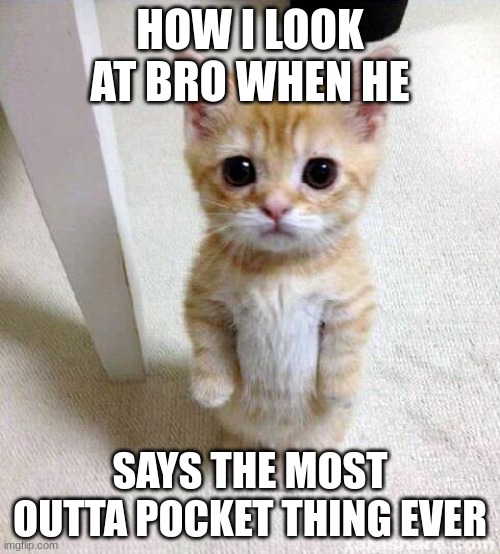 Image Title | HOW I LOOK AT BRO WHEN HE; SAYS THE MOST OUTTA POCKET THING EVER | image tagged in memes,cute cat | made w/ Imgflip meme maker