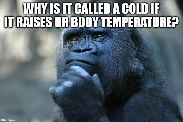 I am serious, like, what the heck | WHY IS IT CALLED A COLD IF IT RAISES UR BODY TEMPERATURE? | image tagged in deep thoughts,funny memes,funny,funny meme,memes,meme | made w/ Imgflip meme maker