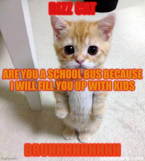 rizz cat | RIZZ CAT; ARE YOU A SCHOOL BUS BECAUSE I WILL FILL YOU UP WITH KIDS; BRUHHHHHHHHH | image tagged in memes,cute cat | made w/ Imgflip meme maker