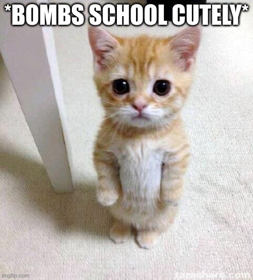 ^_^ | *BOMBS SCHOOL CUTELY* | image tagged in memes,cute cat | made w/ Imgflip meme maker