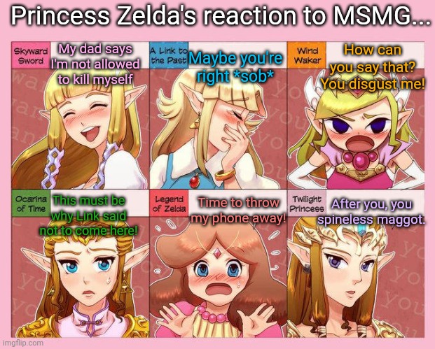 Princess Zelda visits MSMG | Princess Zelda's reaction to MSMG... My dad says I'm not allowed to kill myself; How can you say that? You disgust me! Maybe you're right *sob*; Time to throw my phone away! This must be why Link said not to come here! After you, you spineless maggot. | image tagged in princess,zelda,dont,kill,yourself,stop it get some help | made w/ Imgflip meme maker