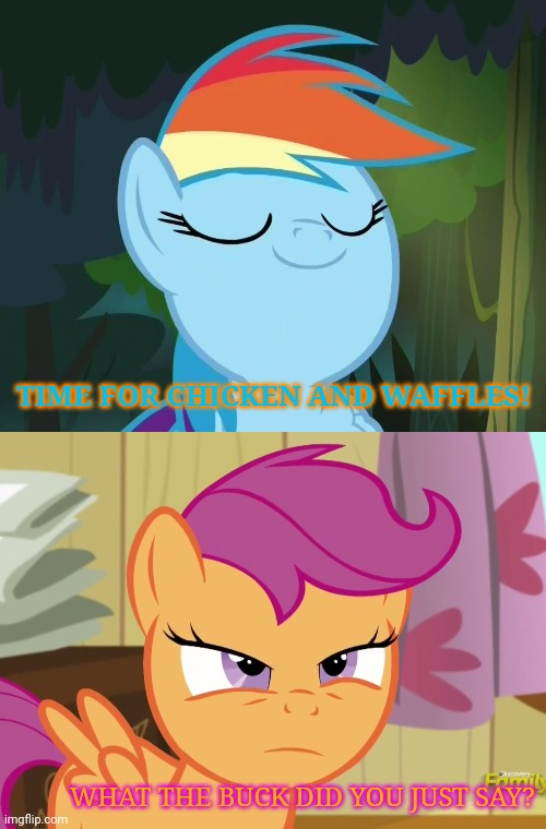 TIME FOR CHICKEN AND WAFFLES! WHAT THE BUCK DID YOU JUST SAY? | image tagged in rainbow dash says,suspicious scootaloo mlp | made w/ Imgflip meme maker