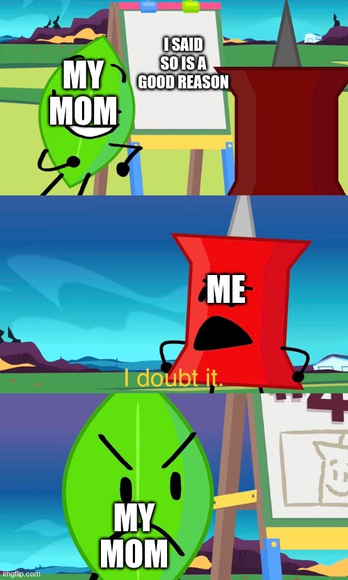 true | I SAID SO IS A GOOD REASON; MY MOM; ME; MY MOM | image tagged in bfdi i doubt it,mom | made w/ Imgflip meme maker