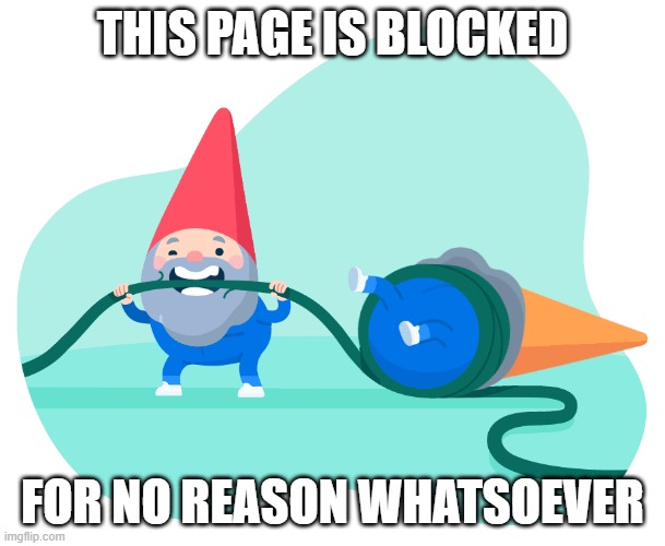blocked page | THIS PAGE IS BLOCKED; FOR NO REASON WHATSOEVER | image tagged in securly,school,internet | made w/ Imgflip meme maker
