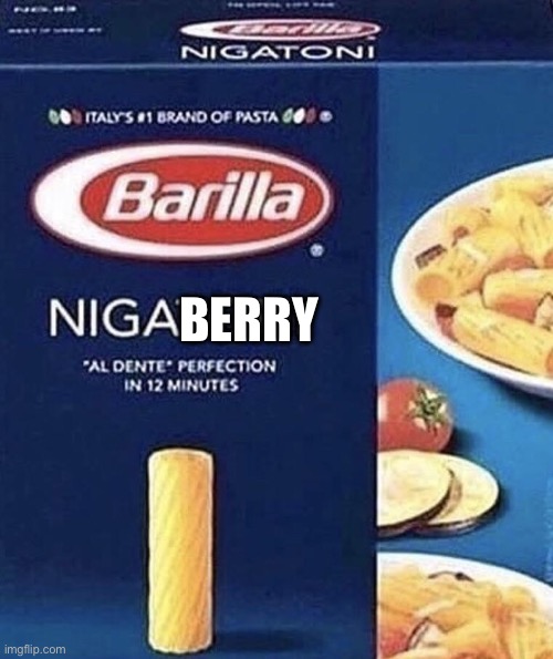 Nigatoni | BERRY | image tagged in nigatoni | made w/ Imgflip meme maker