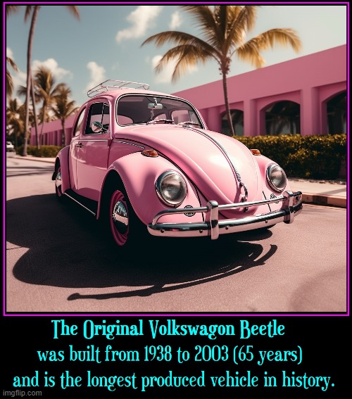 Fact:  The VW Bug was first called a "Beetle" by the NY Times | image tagged in vince vance,volkswagen,bug,beetle,cars,love bug | made w/ Imgflip meme maker