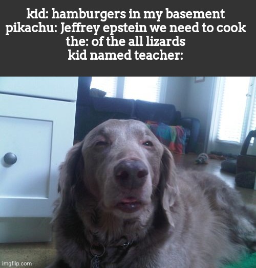 High Dog | kid: hamburgers in my basement
pikachu: Jeffrey epstein we need to cook
the: of the all lizards
kid named teacher: | image tagged in memes,high dog | made w/ Imgflip meme maker