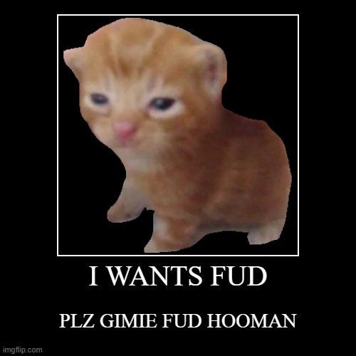 I WANTS FUD | I WANTS FUD | PLZ GIMIE FUD HOOMAN | image tagged in funny,demotivationals | made w/ Imgflip demotivational maker