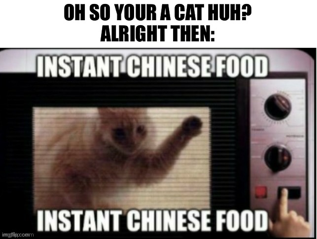 OH SO YOUR A CAT HUH?
ALRIGHT THEN: | image tagged in instant chinese food | made w/ Imgflip meme maker
