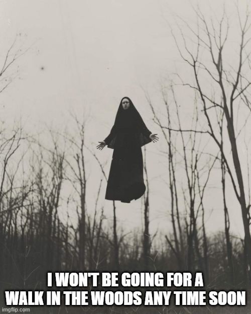 Flying | I WON'T BE GOING FOR A WALK IN THE WOODS ANY TIME SOON | image tagged in cursed image | made w/ Imgflip meme maker
