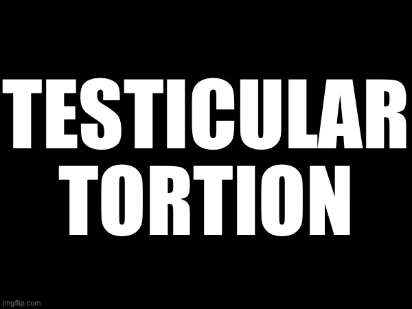 TESTICULAR TORTION | made w/ Imgflip meme maker