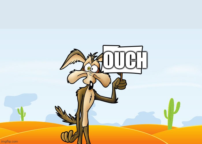 Wile E. Coyote Sign | OUCH | image tagged in wile e coyote sign | made w/ Imgflip meme maker