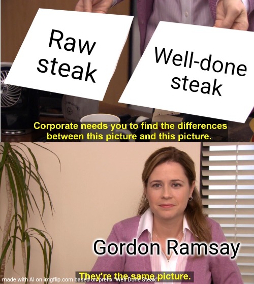 They're The Same Picture Meme | Raw steak; Well-done steak; Gordon Ramsay | image tagged in memes,they're the same picture | made w/ Imgflip meme maker