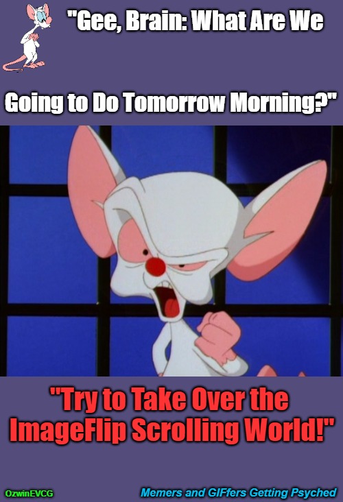 Memers and GIFfers Getting Psyched | "Gee, Brain: What Are We; Going to Do Tomorrow Morning?"; "Try to Take Over the 

ImageFlip Scrolling World!"; Memers and GIFfers Getting Psyched; OzwinEVCG | image tagged in brain try to take over the world,giffing,fun,meming,pinky and the brain,goals | made w/ Imgflip meme maker
