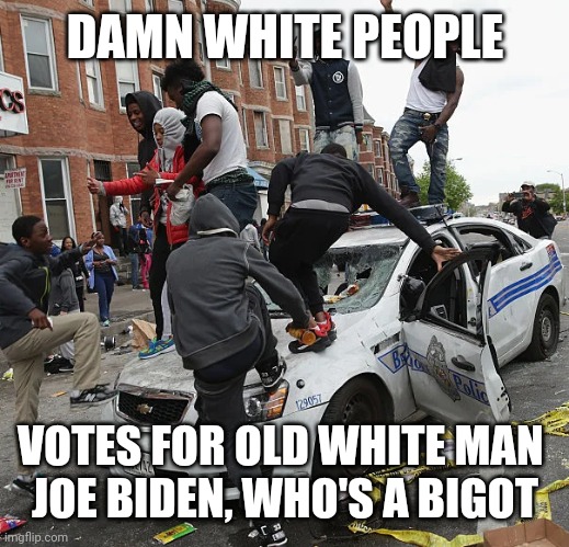BLM | DAMN WHITE PEOPLE VOTES FOR OLD WHITE MAN 
JOE BIDEN, WHO'S A BIGOT | image tagged in blm | made w/ Imgflip meme maker