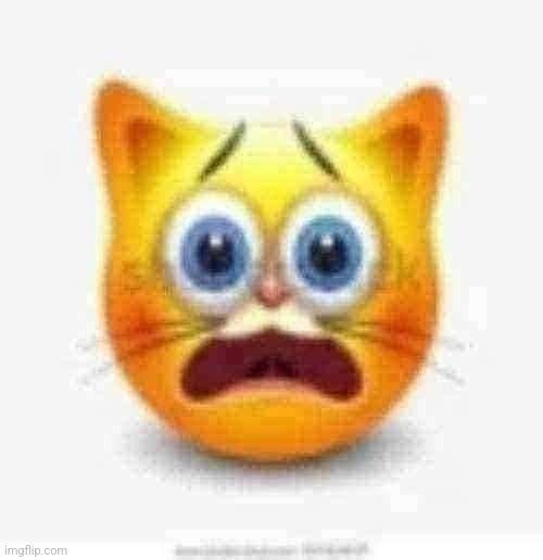 cat stock emoji scared | image tagged in cat stock emoji scared | made w/ Imgflip meme maker