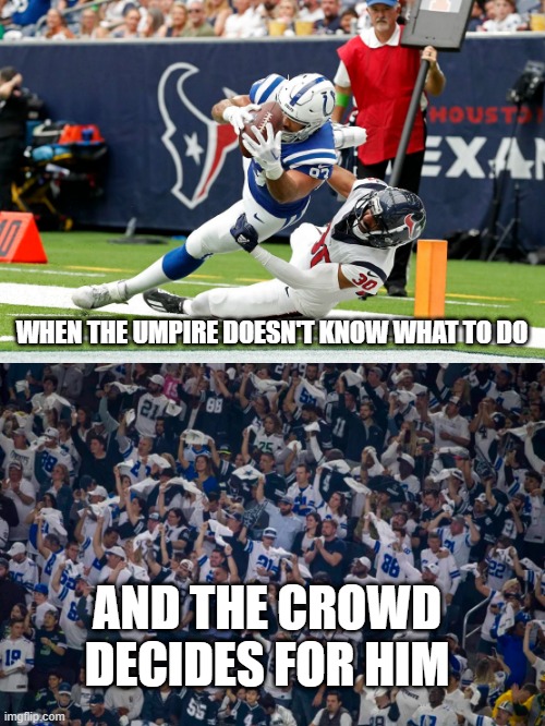 WHEN THE UMPIRE DOESN'T KNOW WHAT TO DO; AND THE CROWD DECIDES FOR HIM | image tagged in football | made w/ Imgflip meme maker